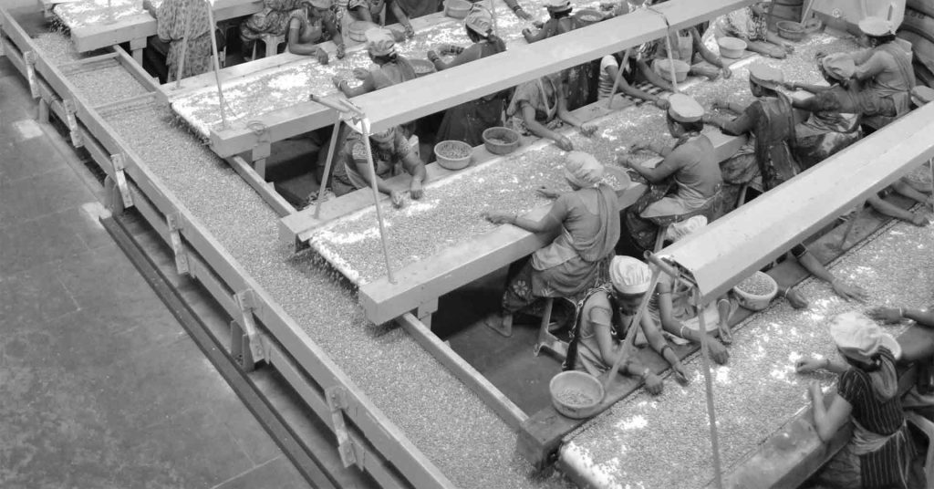 Peanut Shelling & Sorting Plant Balaji Engineering